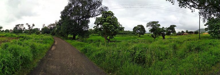 Village land